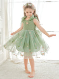 Plataz Sleeveless Floral Embroidered Tulle Toddler Flower Girl HZ1007