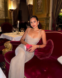 Elegant Silvery Sparkling Rhinestone Evening Gown Sheath Party Dress Long Formal Dress HZ1024