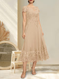 Plataz Illusion Scoop Tea-Length Lace Chiffon Mother of the Bride Dress With HZ1007
