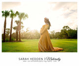 Plataz And Winter 2025 Women's Gold Velvet Pregnant Woman V-Necked Tail Dress Photo Dress 1937 Maternity