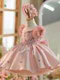 Plataz Embroidery Sequins Tulle Knee-length Pink Baby Girl HZ1007
