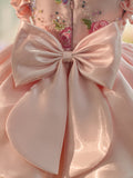 Plataz Embroidery Sequins Tulle Knee-length Pink Baby Girl HZ1007