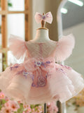 Plataz Embroidery Puffy Sleeves Tulle Knee-length Baby Girl HZ1007