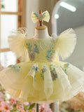 Plataz Embroidery Puffy Sleeves Tulle Knee-length Baby Girl HZ1007
