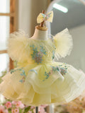 Plataz Embroidery Puffy Sleeves Tulle Knee-length Baby Girl HZ1007