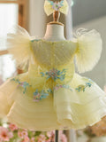 Plataz Embroidery Puffy Sleeves Tulle Knee-length Baby Girl HZ1007