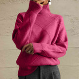 Plataz Turtleneck Long Sleeve Sweater DJPT