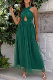 Plataz Formal Solid Hollowed Out Backless Halter Evening Dress HZ1007