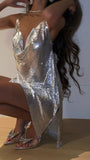 Plataz Sequins Shiny Party Dress Sexy Birthday Dress Backless Homecoming Dress HZ1007