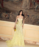 Vintage Light Yellow Lace Sequin Evening Gown Sheath Spaghetti Strap Party Dress Long Formal Dress HZ1024