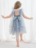 Plataz Sleeveless Floral Embroidered Tulle Toddler Flower Girl HZ1007