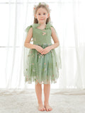 Plataz Sleeveless Floral Embroidered Tulle Toddler Flower Girl HZ1007