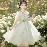 Plataz Design Wind Lily Jsk Man Element Dress Daily National Style Lolita Sweet Dress 6743
