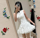 Plataz Sleeveless 24 Early Spring New South Oil High-Sand Sweet Lace Embroidery To Get The Dress Holiday Style Ponve Skirt