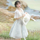 Plataz Design Qinghe Hanfu Female Chinese Style Improvement Daily Chinese Elements Two-Piece Set 8647