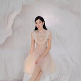 Plataz 2025 Champagne Dress Butterfly Embroidered Net Velvet Short Skirt Princess Dress