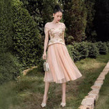 Plataz 2025 Embroidery Three-Dimensional Flower Nail Bead Splicing Mesh Dress With Chest And Fake Two Midskirts