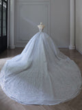 Plataz Ball Gown Strapless Neckline Sequin Light Sky Blue Long Wedding Dresses Brides Dress SD1656 HZ0628