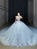 Plataz Ball Gown Strapless Neckline Sequin Light Sky Blue Long Wedding Dresses Brides Dress SD1656 HZ0628