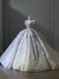 Plataz Ball Gown Off The Shoulder Neckline Tulle Sequin Wedding Dresses Bridal Dress SD2479 HZ0628