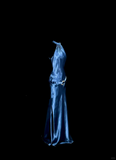 Plataz Mermaid Halter Neck Blue Satin Backless Prom Gown Fairy Prom Dresses SD2905 HZ0628