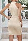 Plataz Elegant Solid Bandage Halter Evening Dress HZ1007