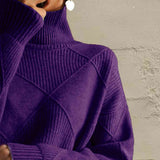 Plataz Turtleneck Long Sleeve Sweater DJPT