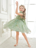 Plataz Sleeveless Floral Embroidered Tulle Toddler Flower Girl HZ1007
