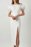 Plataz Elegant Solid Feathers Zipper Off the Shoulder Evening Dress HZ1007