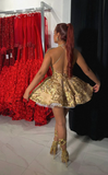 Sparkling Golden Sequin Embroidered Halter Dress Design A-line Applique Party Dresses Homecoming Dresses HZ1024