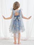 Plataz Sleeveless Floral Embroidered Tulle Toddler Flower Girl HZ1007