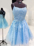 Plataz A-line Sleeveless Tulle Lace Backless Prom Homecoming HZ1007